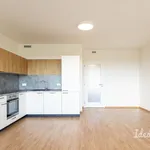 Rent 3 bedroom apartment of 70 m² in Prague