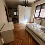 Rent 3 bedroom apartment of 100 m² in Piacenza