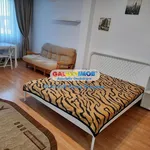 Rent 1 bedroom house of 35 m² in Popești-Leordeni