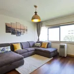 Rent 2 bedroom apartment in porto