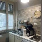 Rent 1 bedroom apartment of 40 m² in Torino