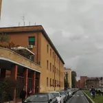 Affitto 1 camera appartamento di 20 m² in Latina