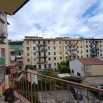 Rent 4 bedroom apartment of 90 m² in Firenze