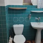 Rent 1 bedroom apartment in Hradec Králové