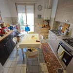 Rent 4 bedroom apartment of 140 m² in Pavia