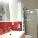 Rent 3 bedroom apartment of 75 m² in Turin