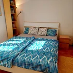 Rent 1 bedroom apartment of 24 m² in Prague