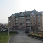 Rent 1 bedroom apartment in Nivelles