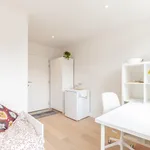 Rent 1 bedroom apartment in Leuven