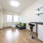 Rent 1 bedroom apartment in Capital City of Prague