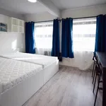 Rent 1 bedroom apartment in Brno