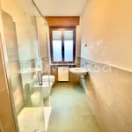 Rent 3 bedroom apartment of 75 m² in Canale