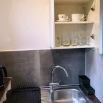 Rent 1 bedroom apartment of 45 m² in prague