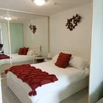 Rent 1 bedroom apartment in The Entrance