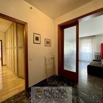 Rent a room of 170 m² in Padua