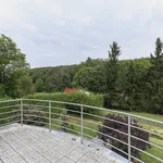 Rent 1 bedroom house of 320 m² in Prague