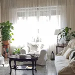 Rent 4 bedroom apartment of 125 m² in Roma