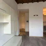 Rent 3 bedroom apartment of 120 m² in Turin