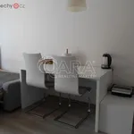 Rent 1 bedroom apartment of 30 m² in Praha