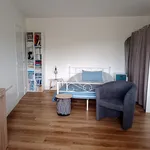 Appartement de 31 m² avec 1 chambre(s) en location à Cholet