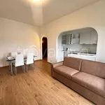 Rent 2 bedroom apartment of 65 m² in Milano