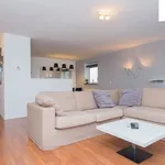 Rent 3 bedroom apartment of 80 m² in Rotterdam