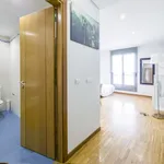 Rent 1 bedroom apartment of 25 m² in Madrid