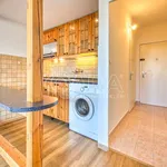 Rent 1 bedroom apartment in Capital City of Prague