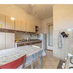 Rent 2 bedroom apartment of 85 m² in Milano