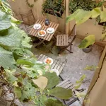 Rent 1 bedroom apartment in Florence