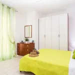 Rent 2 bedroom apartment of 45 m² in Rimini