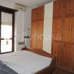 Rent 2 bedroom apartment of 50 m² in Torino