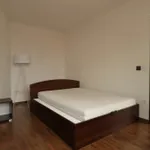 Rent 2 bedroom apartment of 52 m² in Nyíregyháza