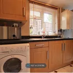 Terraced house to rent in Great Knollys Street, Reading RG1