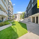 Rent 1 bedroom apartment in braddon