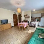 Rent 1 bedroom apartment of 45 m² in Perledo