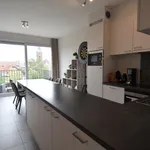 Rent 2 bedroom apartment in Gullegem