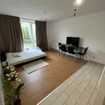 Rent 1 bedroom apartment in Ústí nad Orlicí