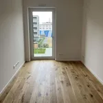 Rent 4 bedroom apartment of 112 m² in Dresden