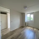 Huur 3 slaapkamer appartement van 65 m² in Eindhoven