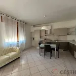 Rent 3 bedroom apartment of 80 m² in Roncà