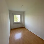 Miete 3 Schlafzimmer wohnung von 64 m² in Dresden