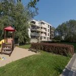 Rent 2 bedroom apartment of 35 m² in Warszawa