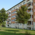 Rent 2 bedroom apartment of 46 m² in Leipzig