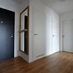 Rent 1 bedroom apartment of 70 m² in Brno