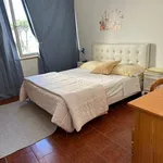 Rent 4 bedroom apartment of 75 m² in Viareggio