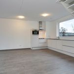 Rent 4 bedroom house of 103 m² in Tongelresche Akkers