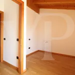 Rent 4 bedroom apartment of 126 m² in Castegnero