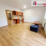 Rent 1 bedroom apartment of 37 m² in Úholičky