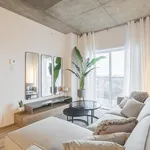 Rent 1 bedroom apartment in Montreal